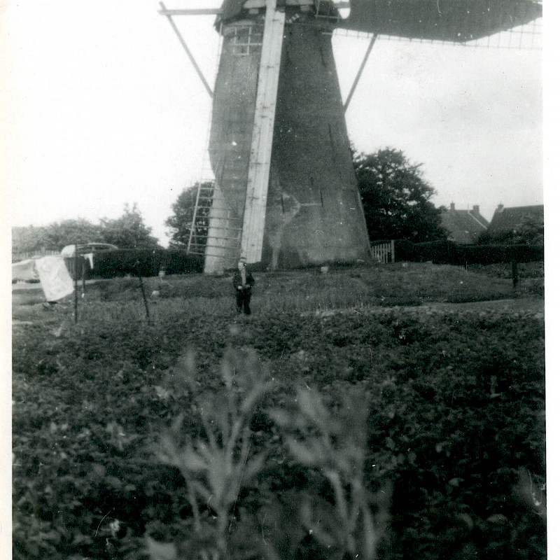 Ben by a windmill in Holland, 1947