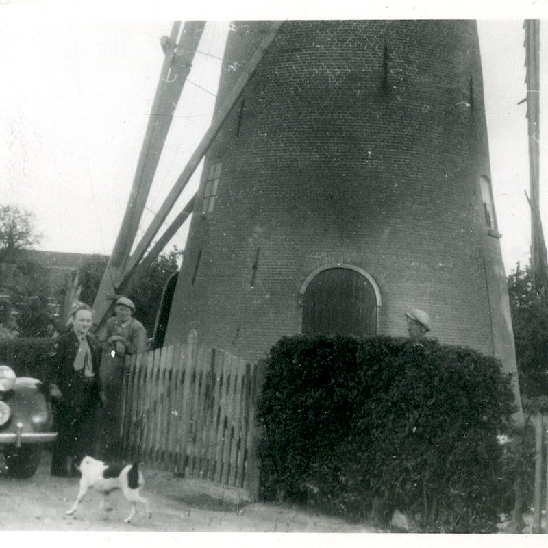 Ben by a windmill in Holland, 1947